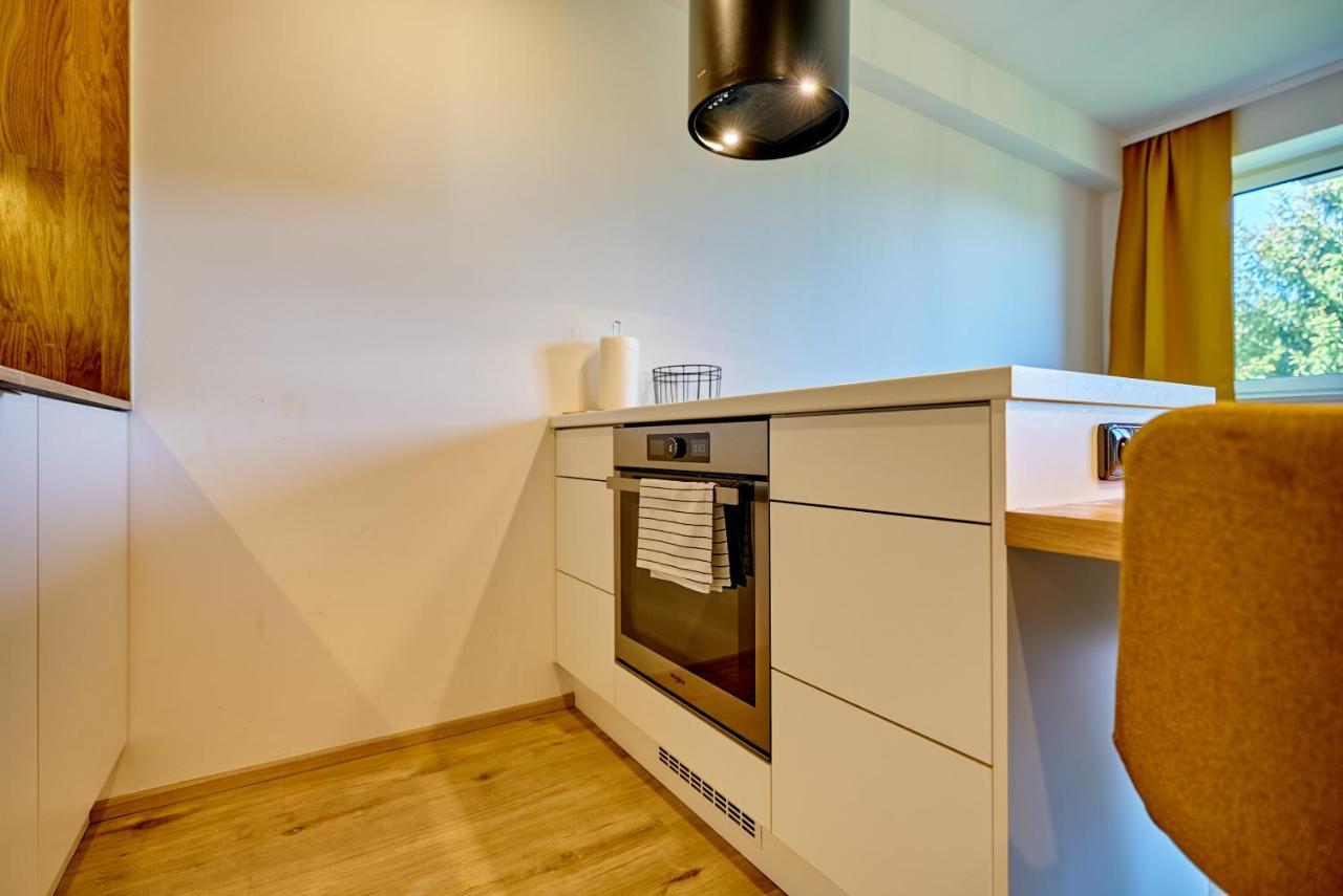 Klinovec Suite By Mountain Ways Loučná pod Klínovcem Exterior foto